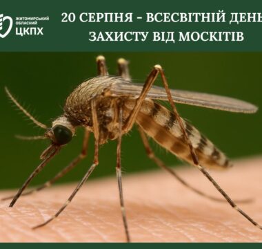 Вітряна віспа: як захистити дітей